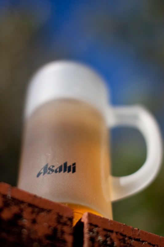 IMAGE: http://i108.photobucket.com/albums/n1/EtherealZee/Asahi/AsahiDOF-8.jpg