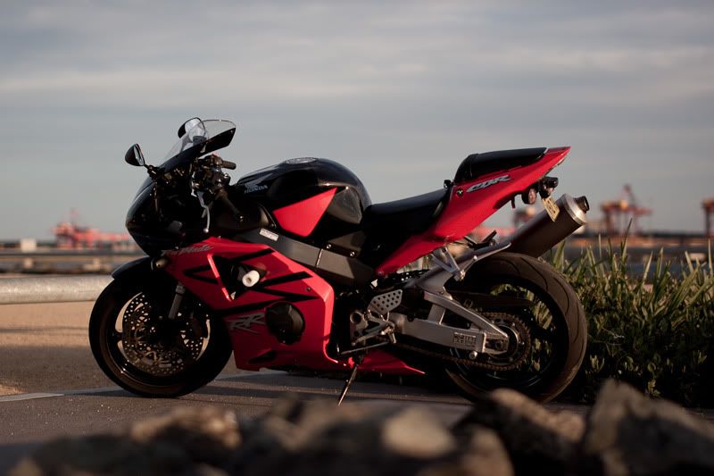 IMAGE: http://i108.photobucket.com/albums/n1/EtherealZee/Sigma%2050%20%20first%20shots/ocaubotanybay2011jan-4.jpg