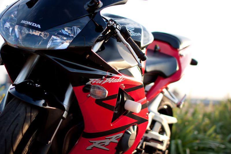 IMAGE: http://i108.photobucket.com/albums/n1/EtherealZee/Sigma%2050%20%20first%20shots/ocaubotanybay2011jan-5.jpg