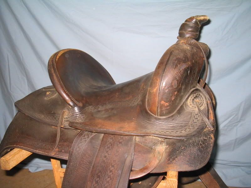 Another Saddle for Jack Update! General Horse Talk HorseCity Forums