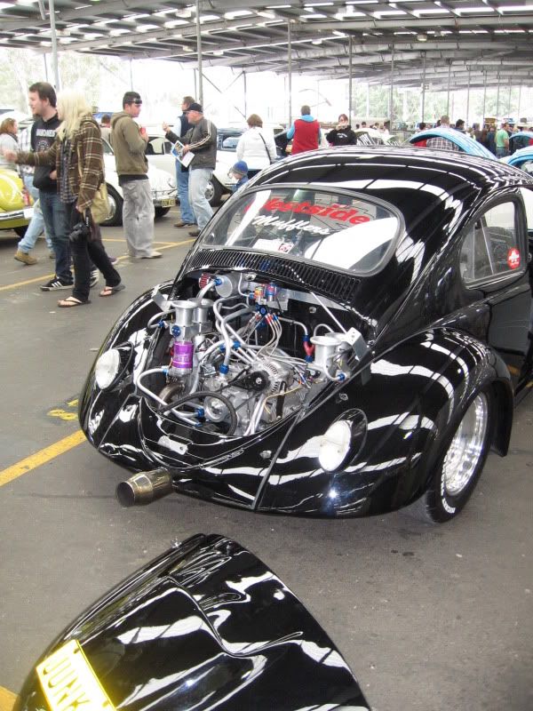 http://i108.photobucket.com/albums/n1/westibug/JUNKAPICS310_0006.jpg