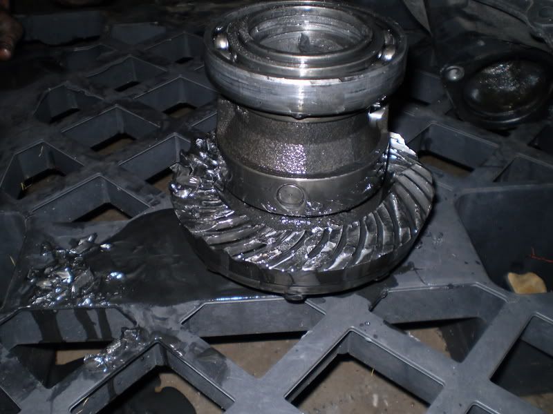 http://i108.photobucket.com/albums/n1/westibug/P2280171.jpg http://i108.photobucket.com/albums/n1/westibug/P2280171.jpg