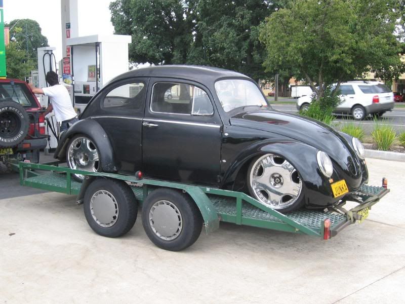 http://i108.photobucket.com/albums/n1/westibug/Picture093.jpg http://i108.photobucket.com/albums/n1/westibug/Picture093.jpg