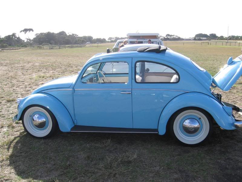 http://i108.photobucket.com/albums/n1/westibug/Picture114.jpg http://i108.photobucket.com/albums/n1/westibug/Picture114.jpg