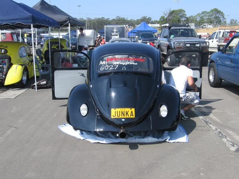 http://i108.photobucket.com/albums/n1/westibug/junka2010pics028.jpg http://i108.photobucket.com/albums/n1/westibug/junka2010pics028.jpg