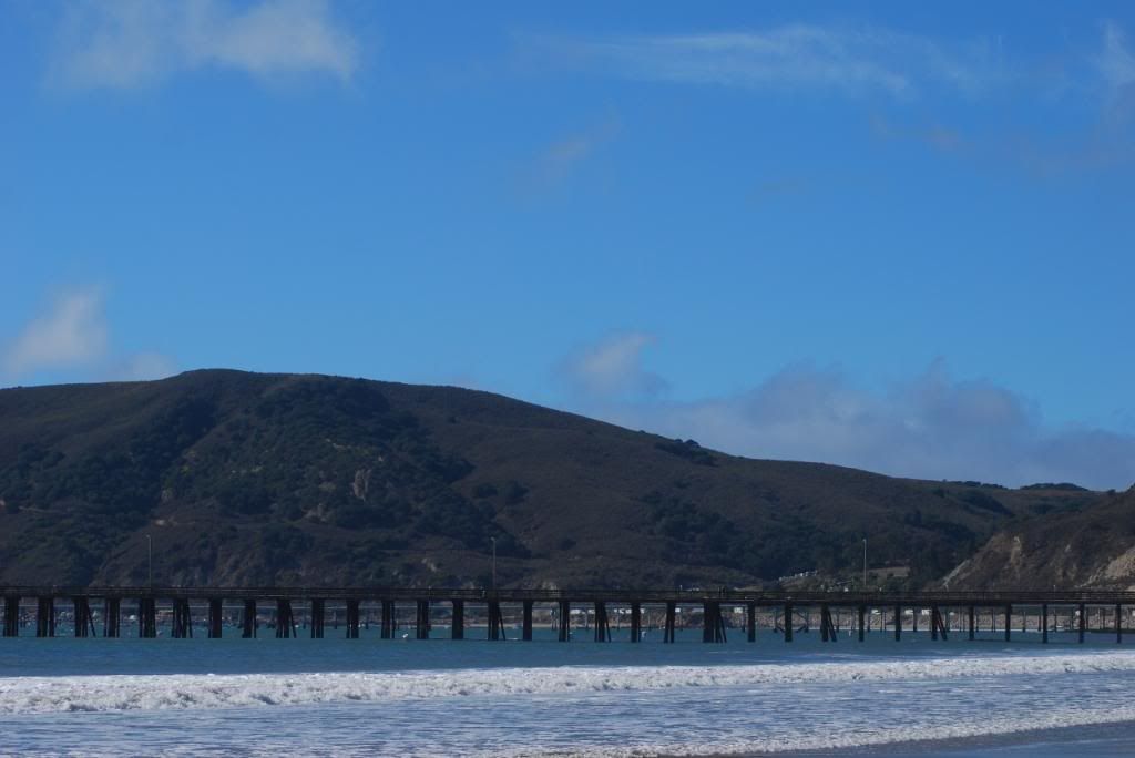 DSC_5484.jpg