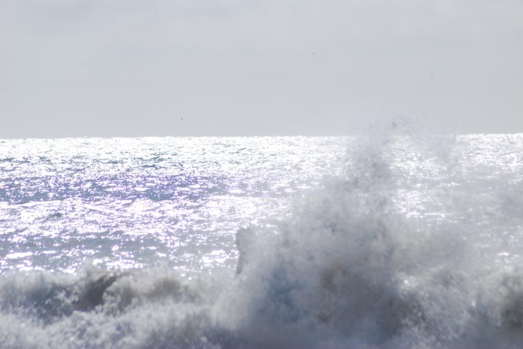 DSC_5498.jpg