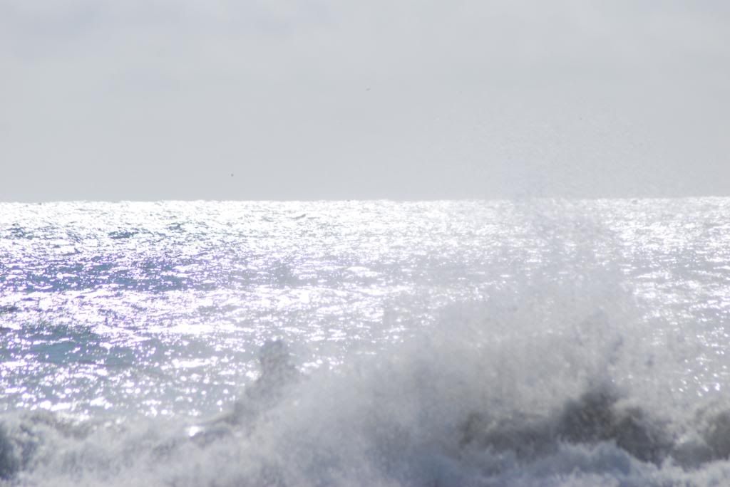 DSC_5499.jpg