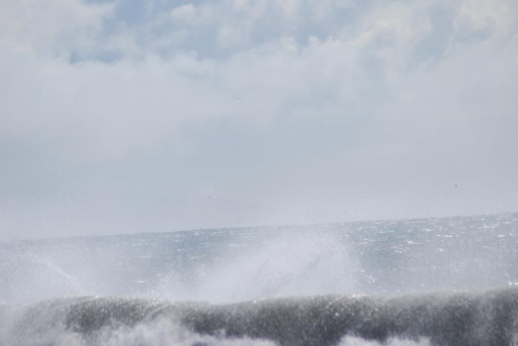 DSC_5527.jpg