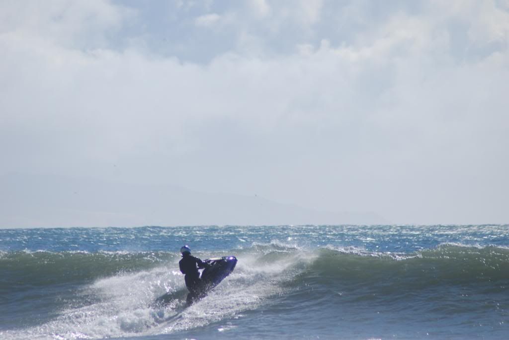 DSC_5528.jpg