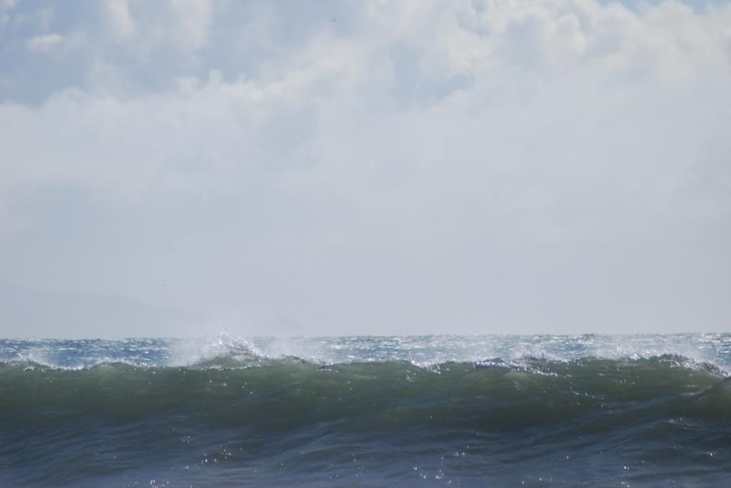 DSC_5534.jpg