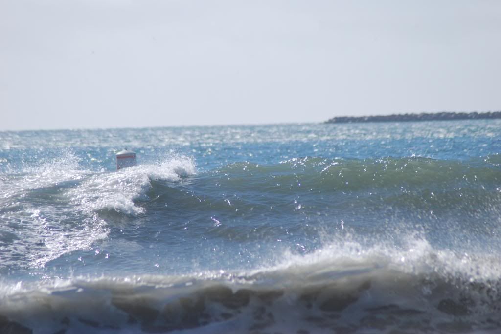 DSC_5542.jpg