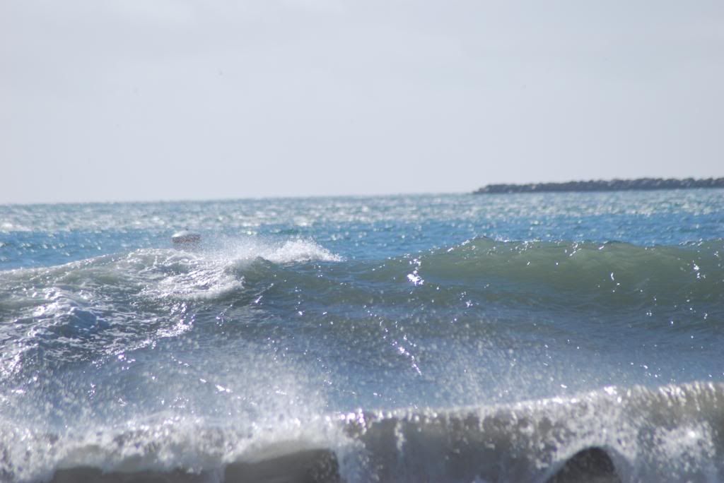 DSC_5543.jpg