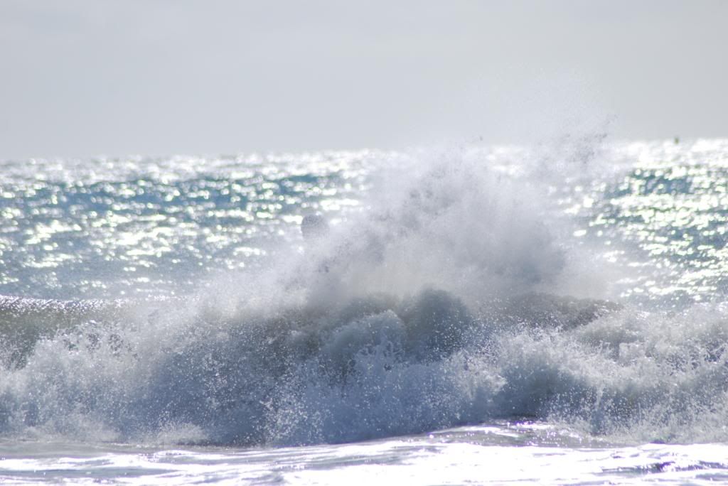 DSC_5556.jpg