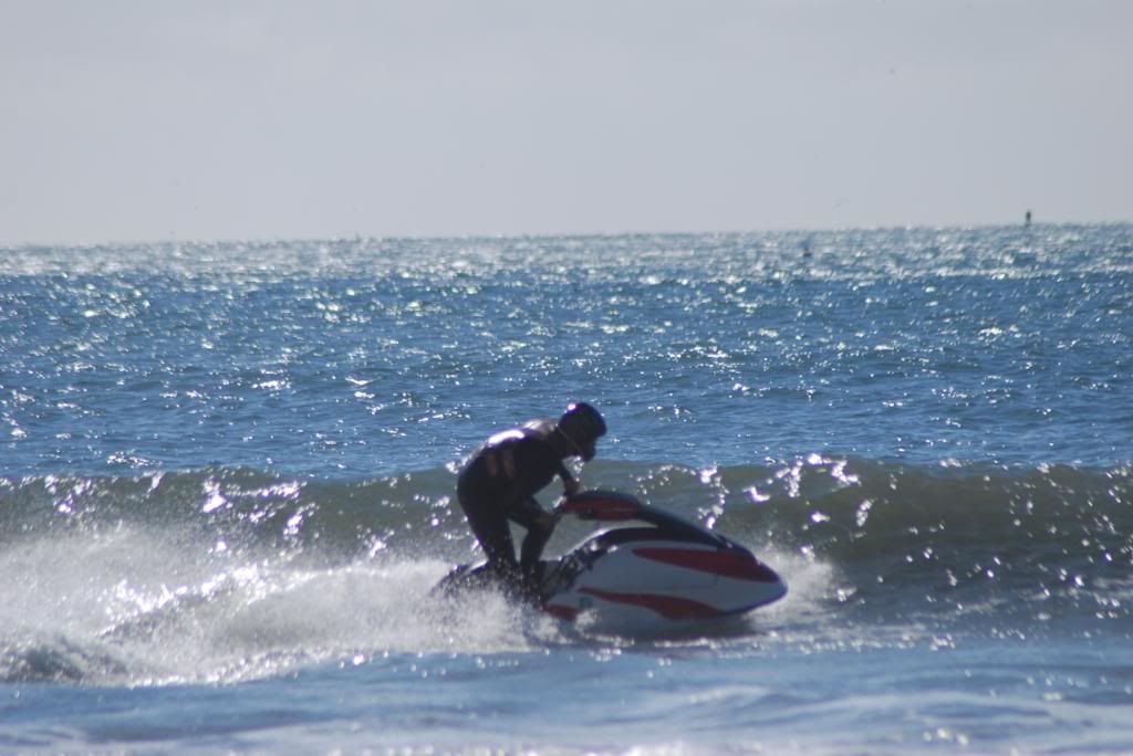 DSC_5559.jpg