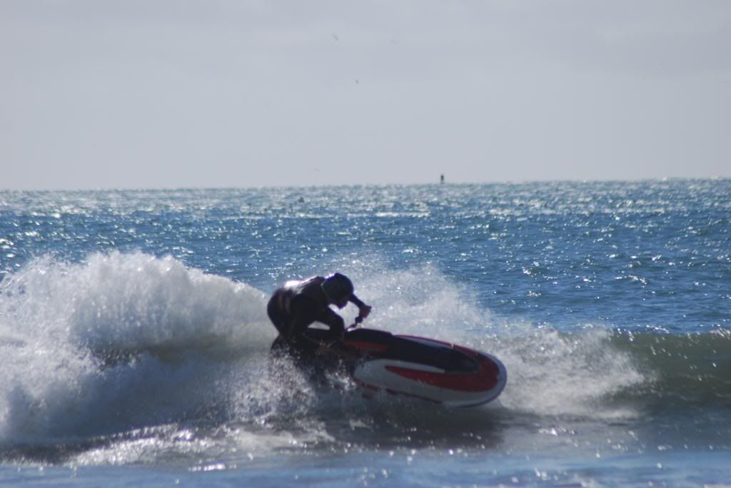 DSC_5560.jpg