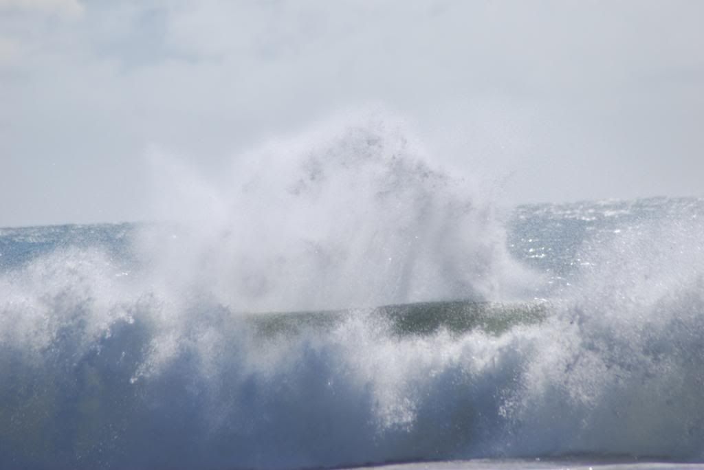 DSC_5570.jpg