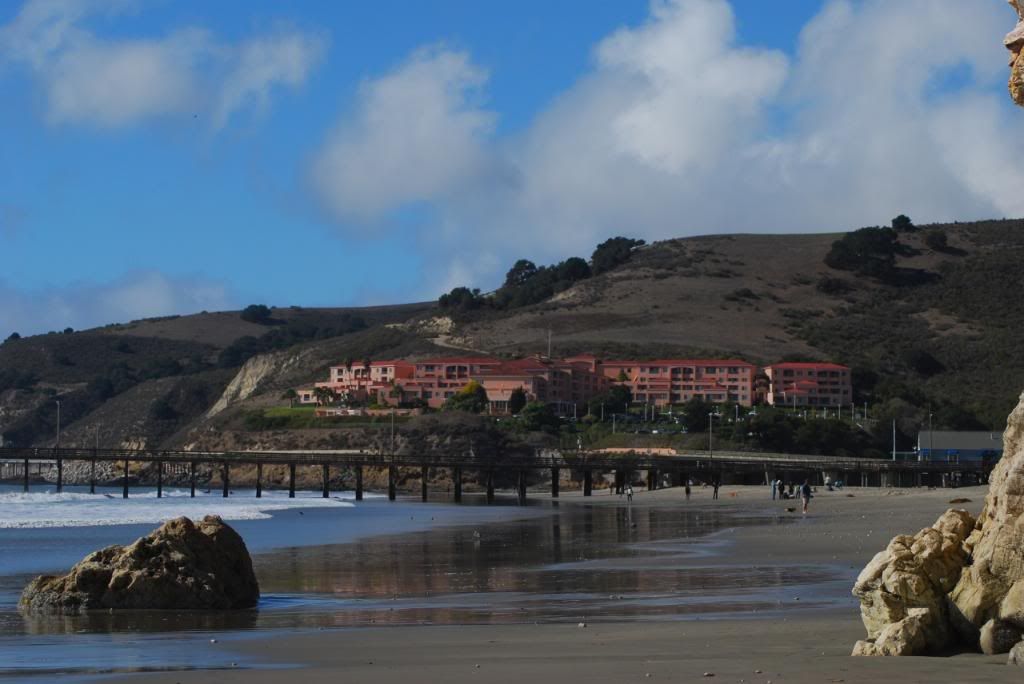 DSC_5582.jpg