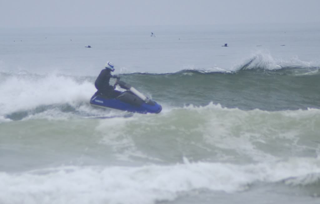 DSC_2179.jpg