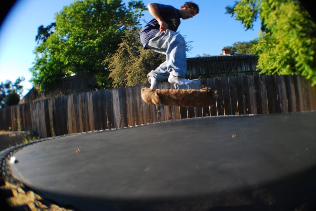 DSC_2031.jpg