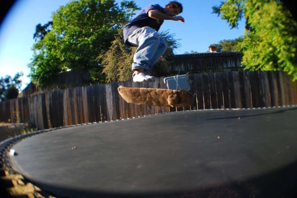 DSC_2032.jpg