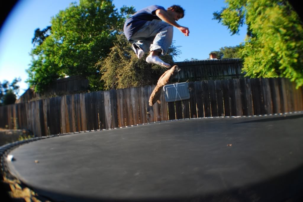 DSC_2036.jpg