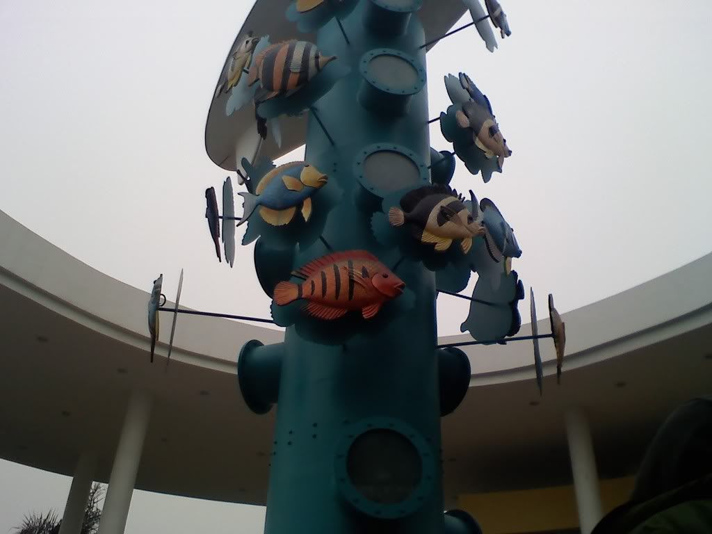 0116091224.jpg