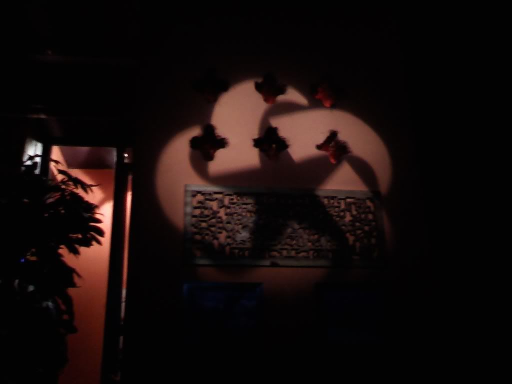 0216092152.jpg