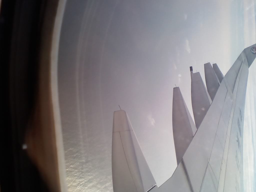 1128081255.jpg
