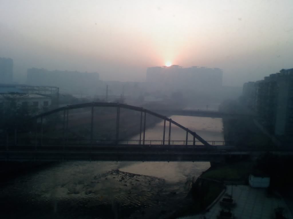 1130080807.jpg