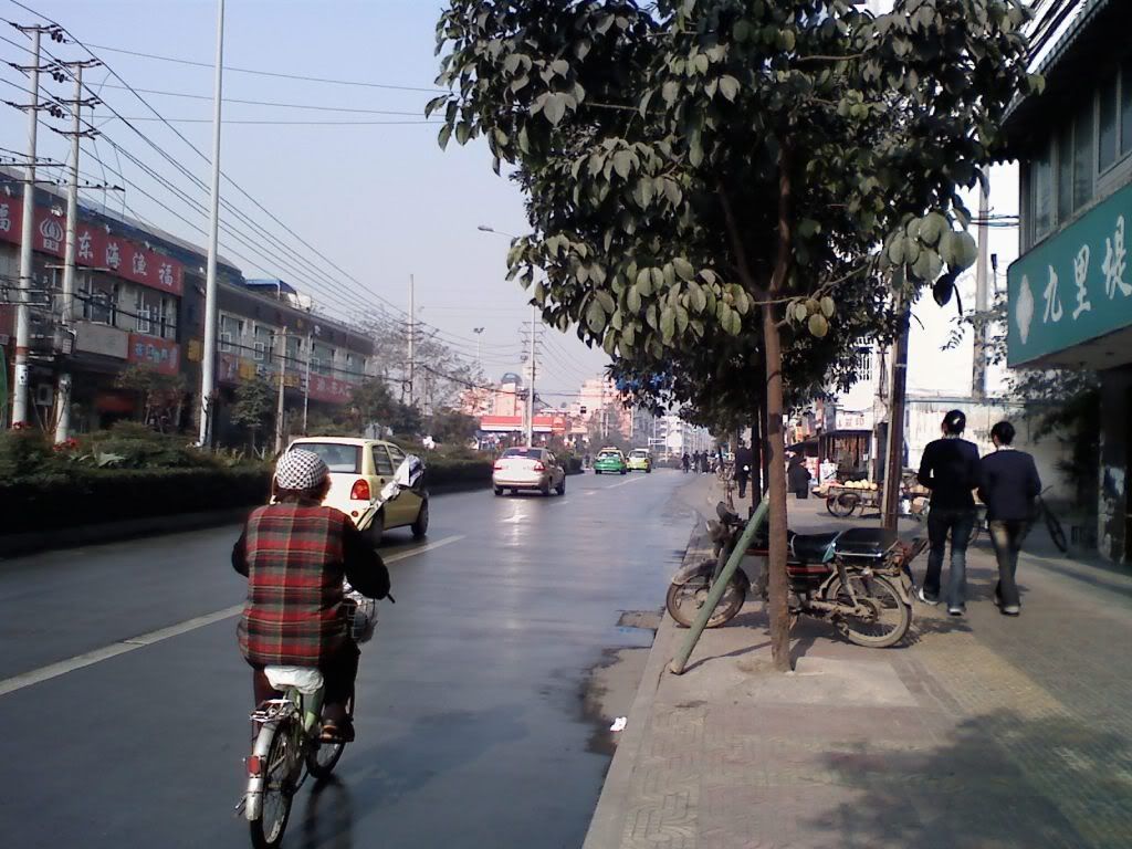 1130081107a.jpg