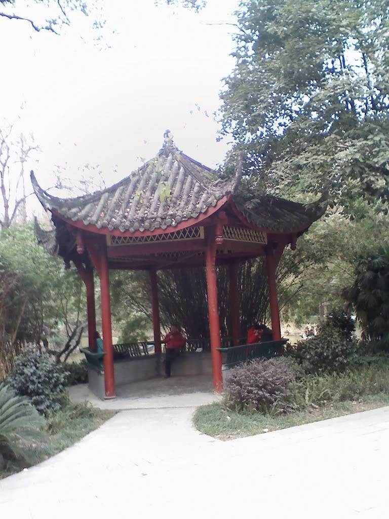 1207081544a.jpg