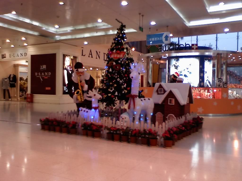 1217081746.jpg