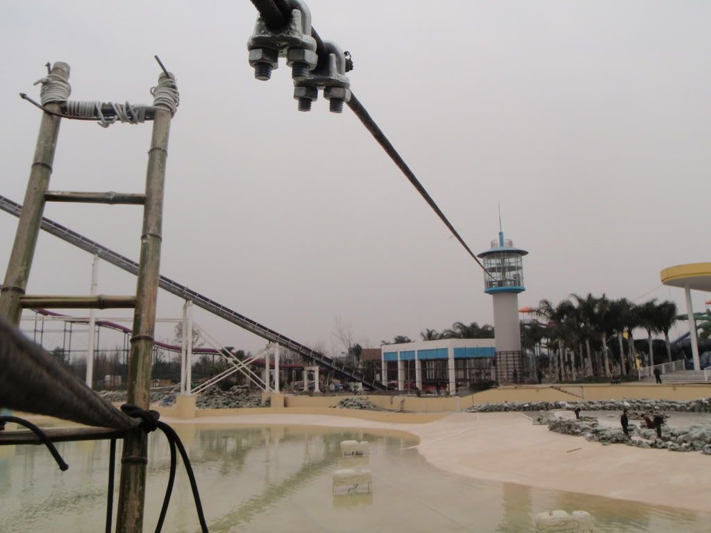 P1131558.jpg