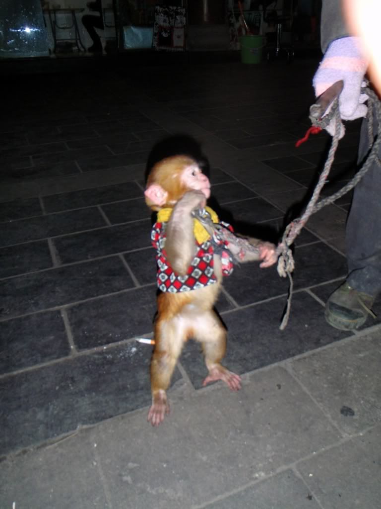PC201378.jpg
