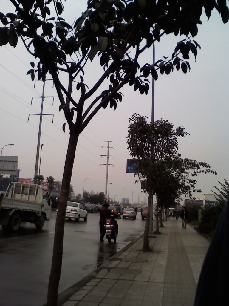 1201081517.jpg