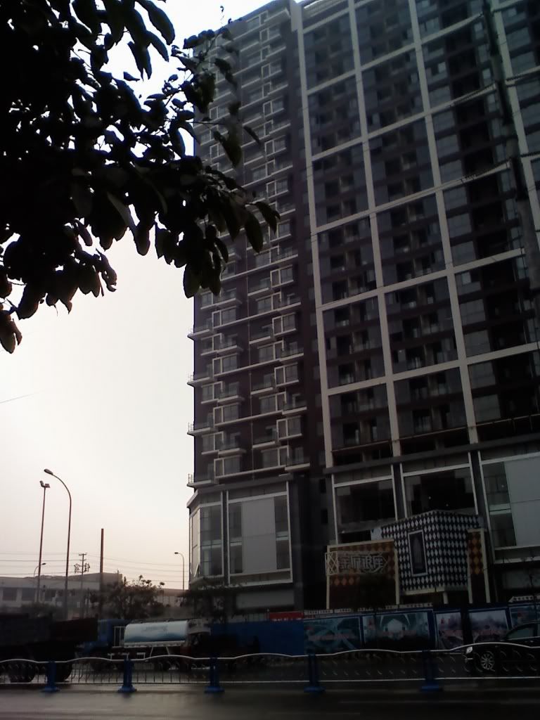 1201081517a.jpg