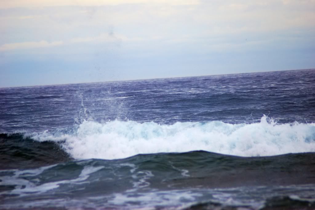 DSC_5433.jpg