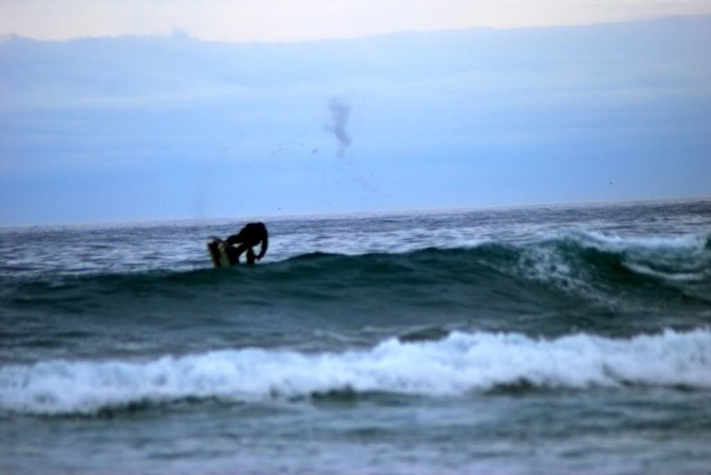 DSC_5462.jpg