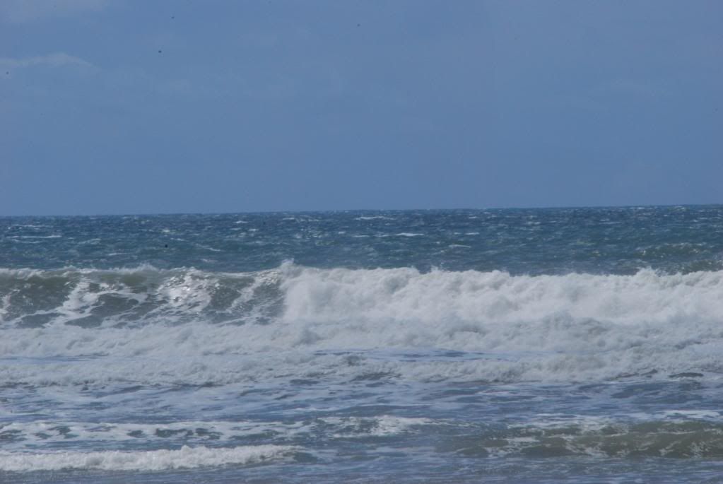 DSC_0065.jpg