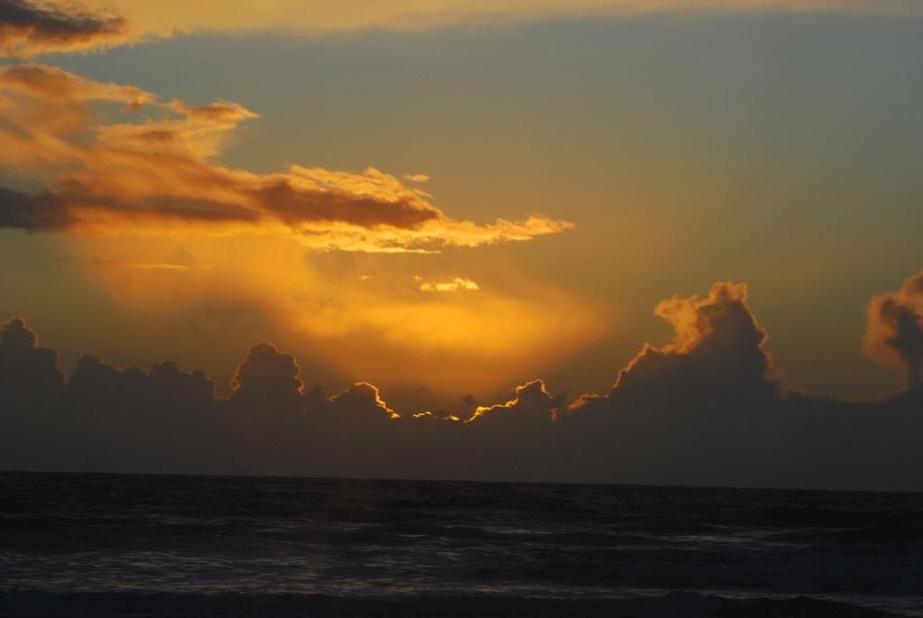 DSC_0125.jpg