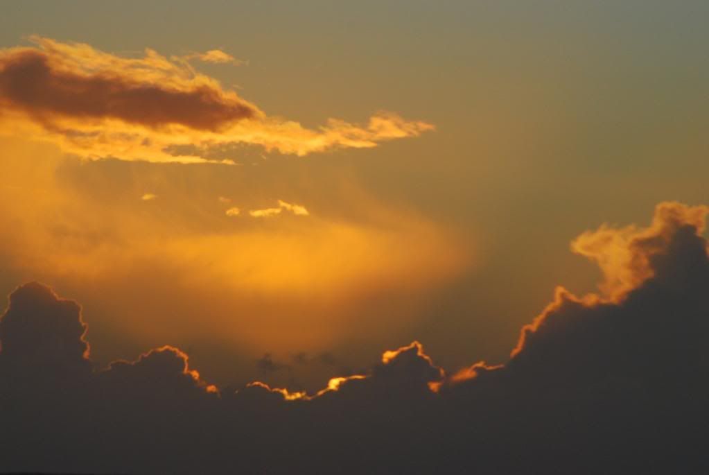 DSC_0126.jpg