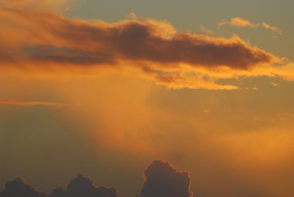 DSC_0128.jpg