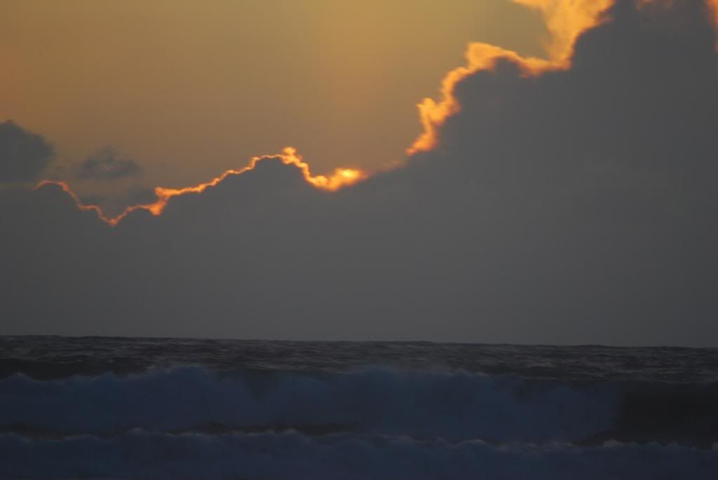 DSC_0131.jpg