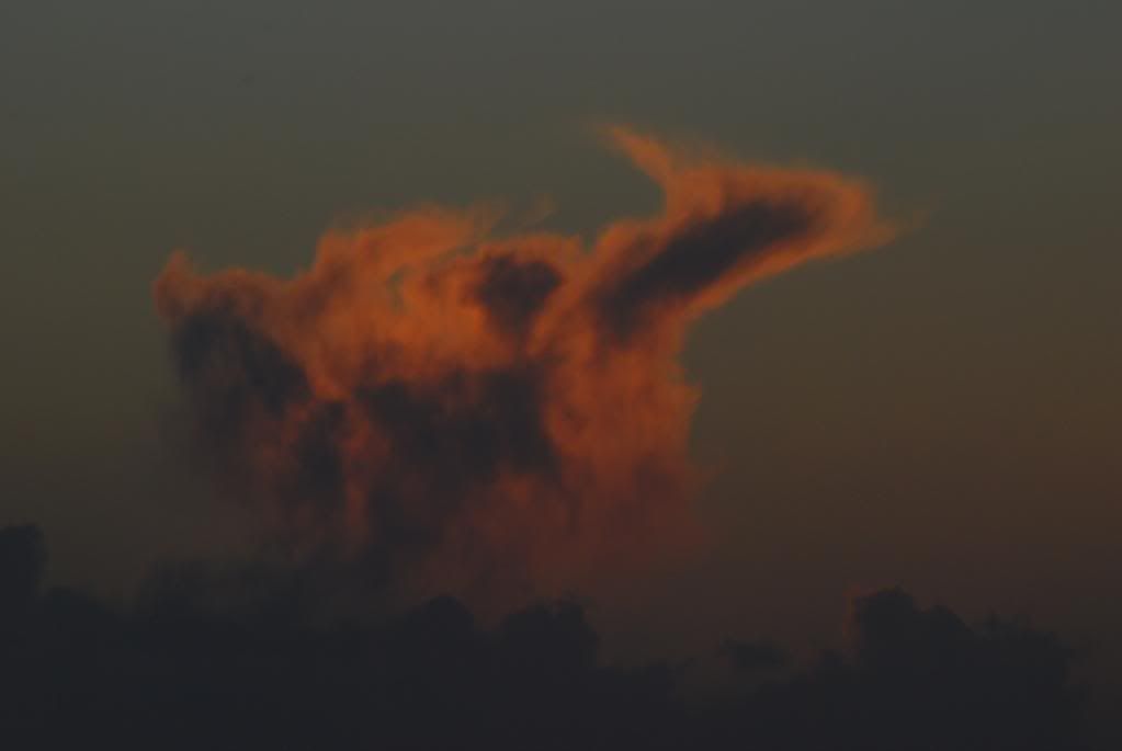 DSC_0136.jpg