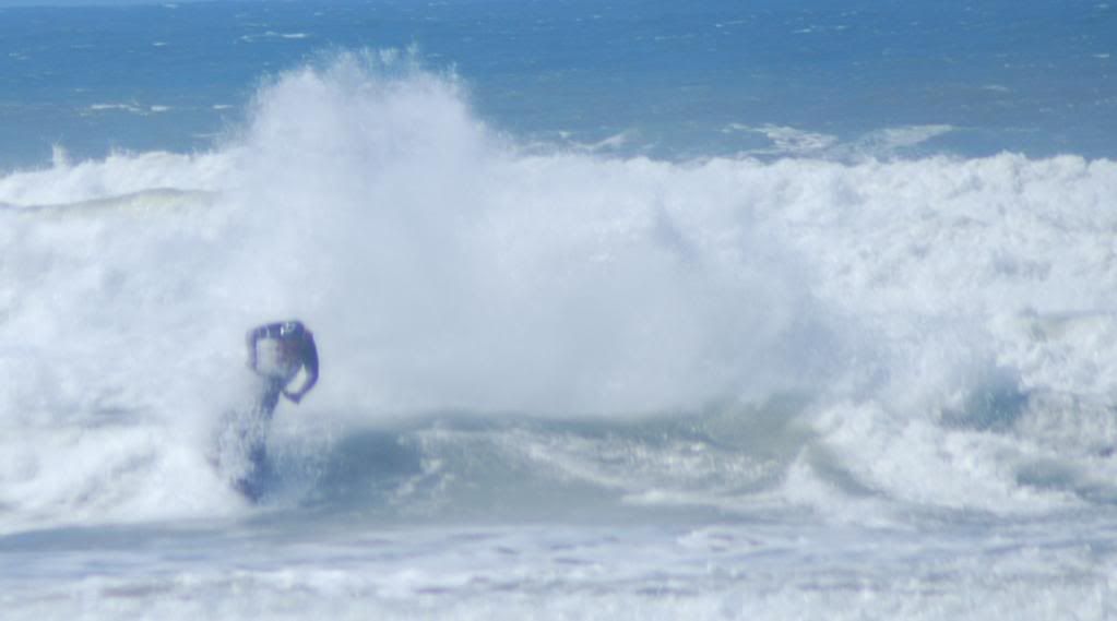 DSC_0206.jpg