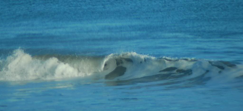 DSC_0255.jpg