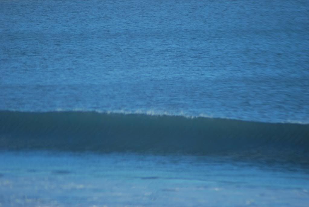 DSC_0267.jpg