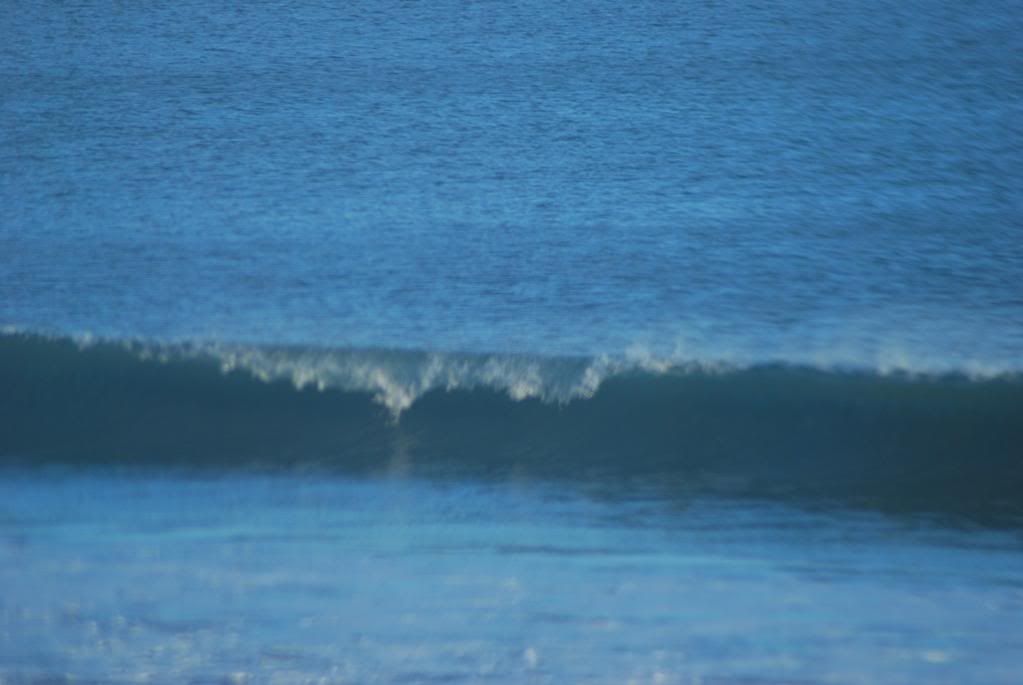 DSC_0268.jpg