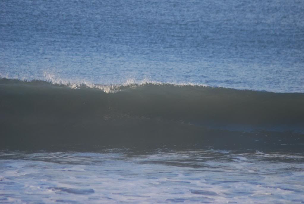 DSC_0285.jpg